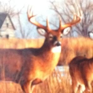 Meet your Posher, Jacob